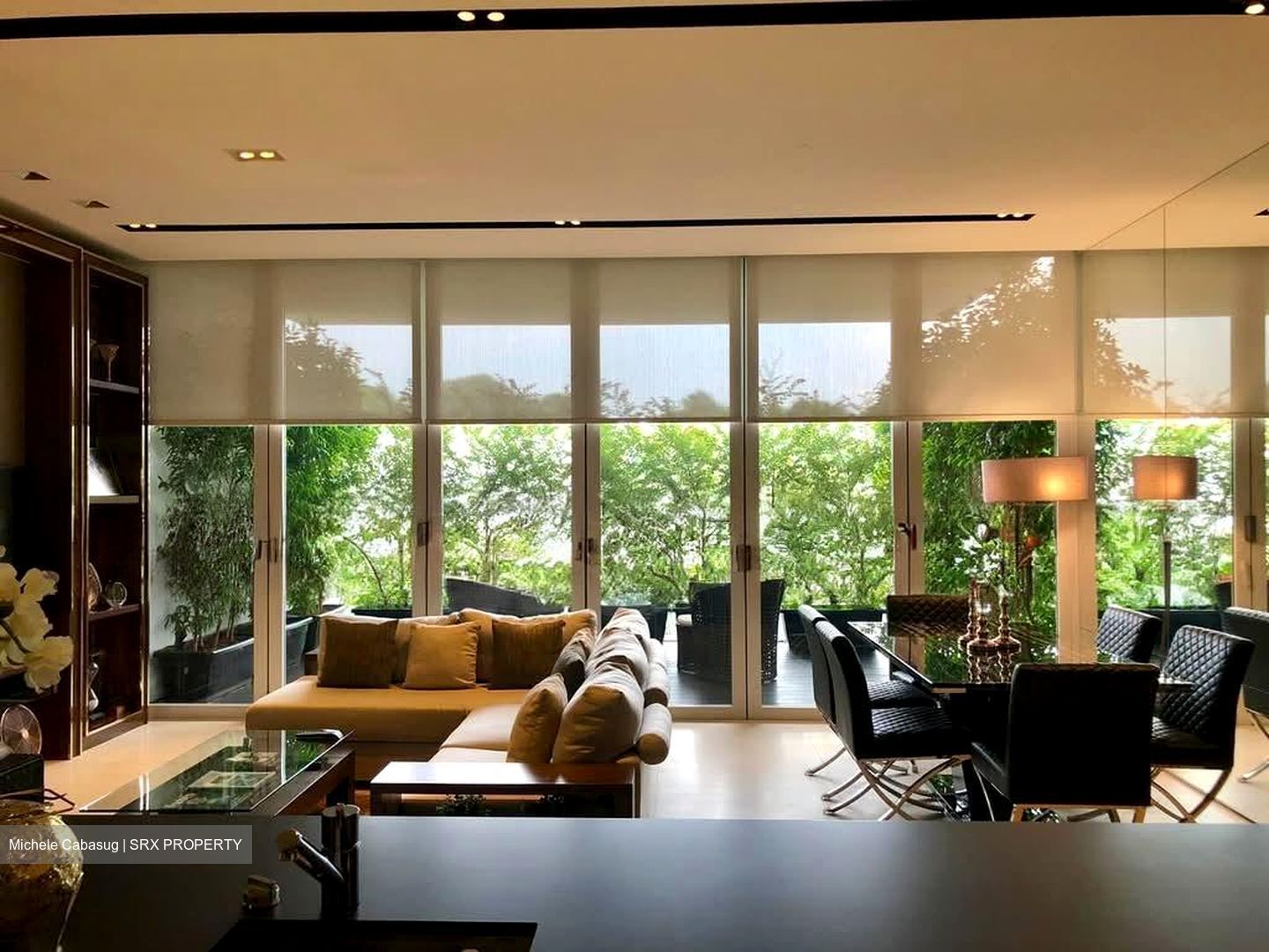 8 Napier (D10), Condominium #554729211